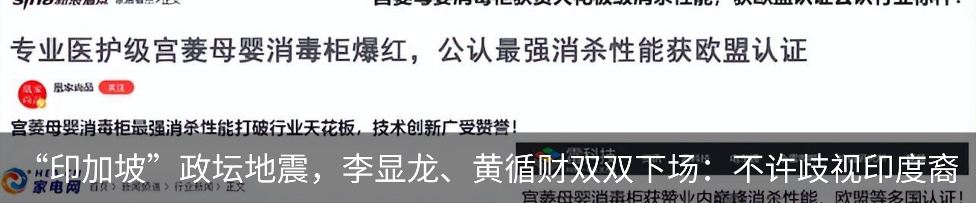 新闻动态