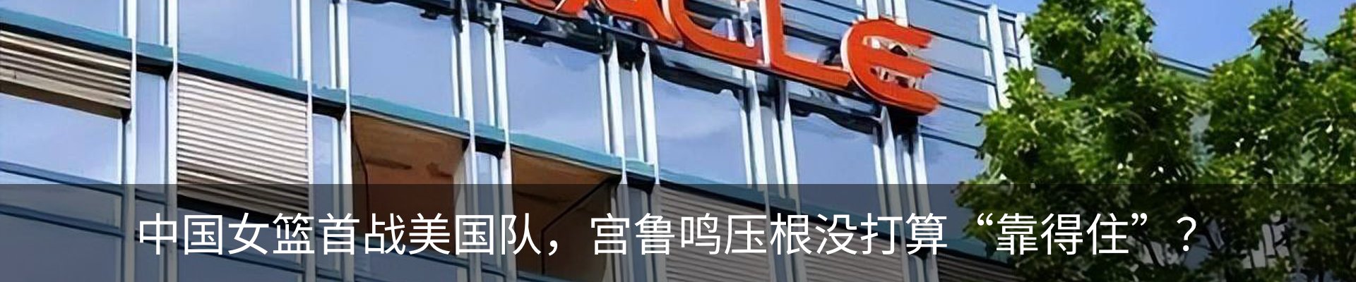 新闻动态