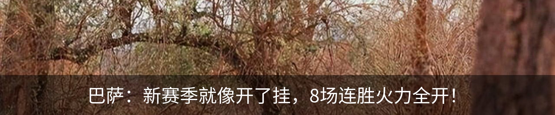 新闻动态