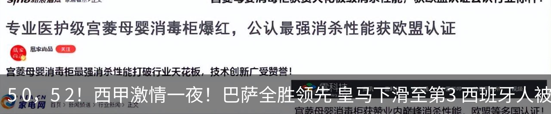 新闻动态